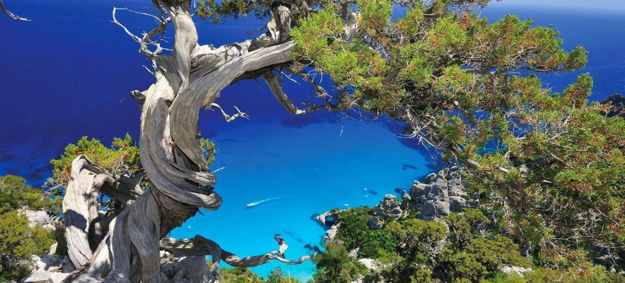 Villa Stella Fronte Mare Porto Frailis Àrbatax Eksteriør bilde